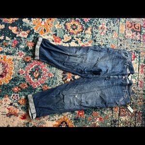 Anthropologie Pilcro Boyfriend Carpenter Jeans 24w